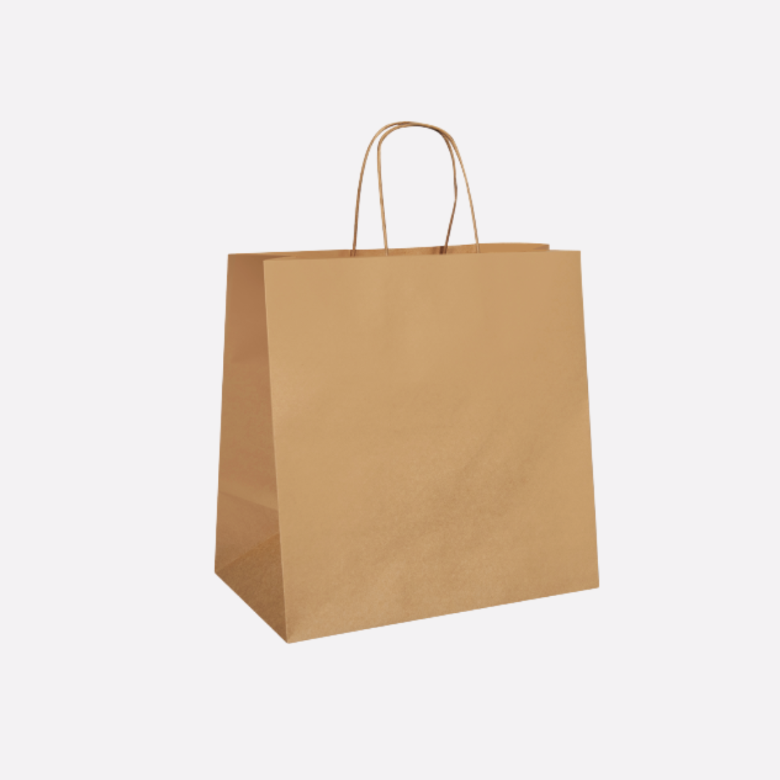 Paper Bag