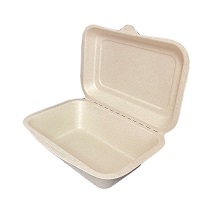 Sugarcane 600ml Clamshell (500 Units)